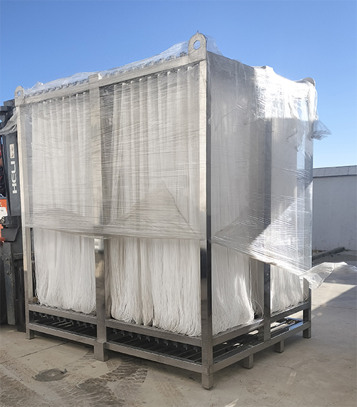 如何正確培養污水處理菌種?