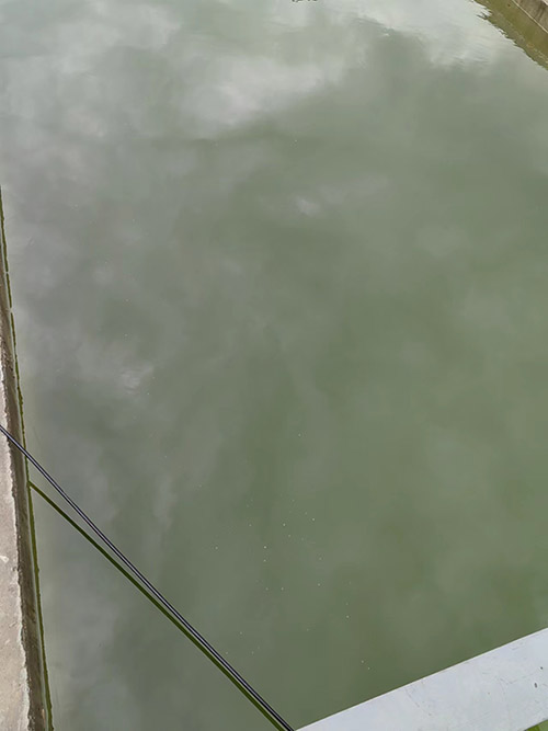 氨氮廢水處理方法有哪些？